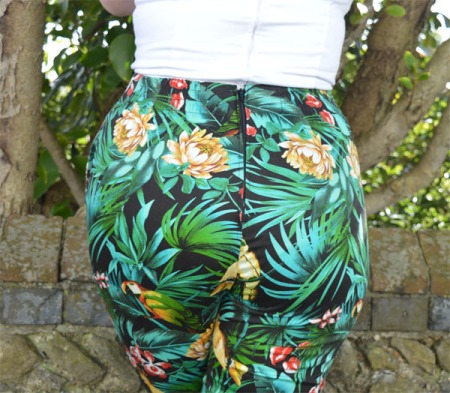 Pinup Girl Clothing High Waisted Pants Parrot Trousers