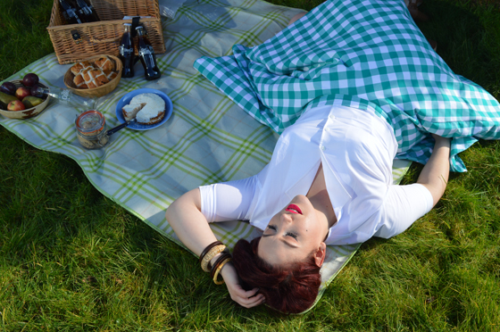 Heart of Haute Teal Green Picnic Gingham Circle Skirt Gretta Shirt
