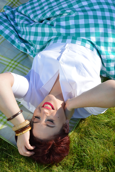 Heart of Haute Teal Green Picnic Gingham Circle Skirt Gretta Shirt