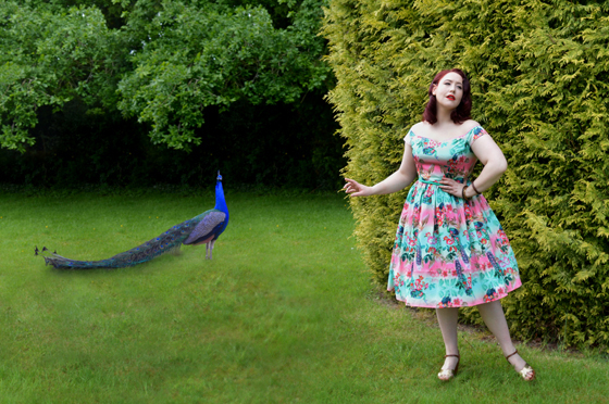 Hell Bunny 50s Peacock Dress