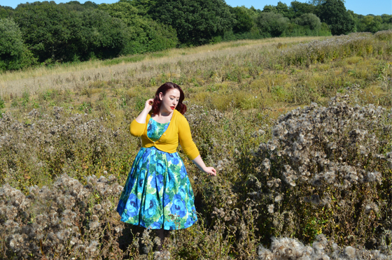 Emily and Fin Poppies a Plenty Isobel Dress