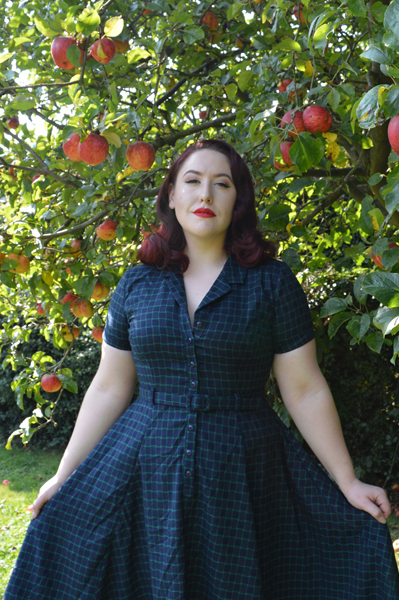 Caterina Chaise Check swing dress Collectif