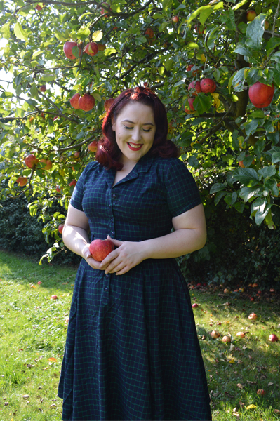 Caterina Chaise Check swing dress Collectif