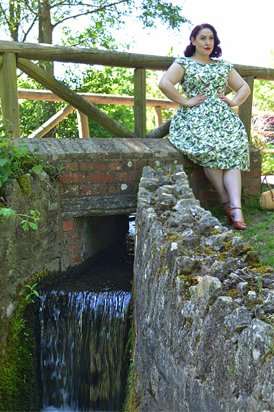 Emily and Fin Tropical Parakeets Claudia dress