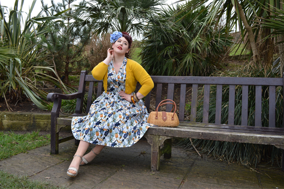 Lady V London Lady Voluptuous Estella Tropical Toucan Print dress