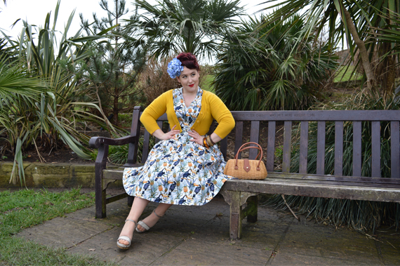 Lady V London Lady Voluptuous Estella Tropical Toucan Print dress