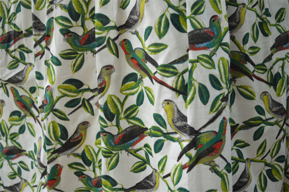 Emily and Fin Tropical Parakeets Claudia dress