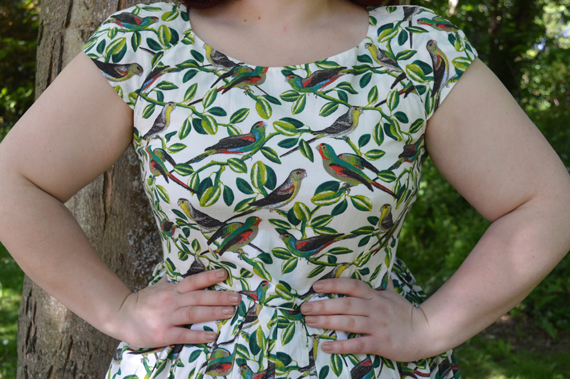Emily and Fin Tropical Parakeets Claudia dress