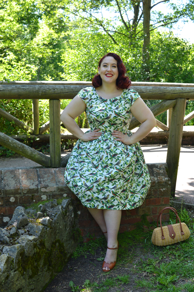 Emily and Fin Tropical Parakeets Claudia dress