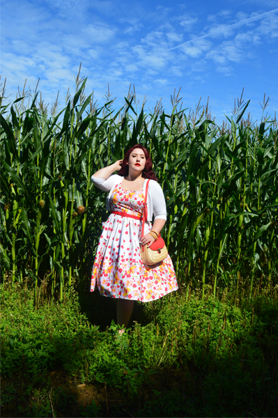 Miss Fortune Rose print border Sweet pea dress