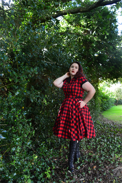 Heart of Haute Red Buffalo Gingham Dinette dress 