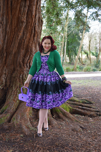 Amethyst Rose Border Dirdle dress by Lady V London Miss Amy May plus size