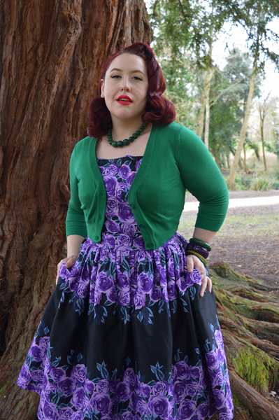 Amethyst Rose Border Dirdle dress by Lady V London Miss Amy May plus size