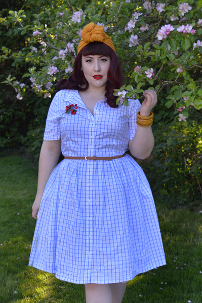 Blue Thelma Check dress Joanie Clothing Miss Amy May plus size