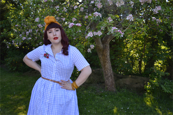 Blue Thelma Check dress Joanie Clothing Miss Amy May plus size