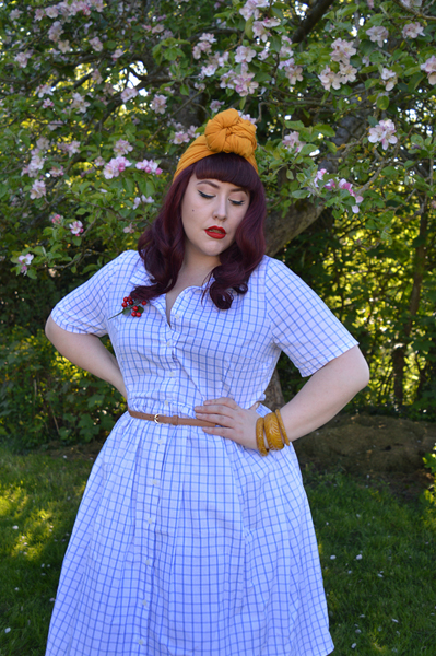 Blue Thelma Check dress Joanie Clothing Miss Amy May plus size