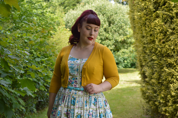 Retrospec'd enchanted fleur gigi dress miss amy may plus size
