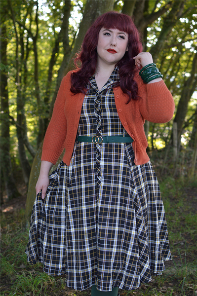 Brown Tatiana boots Lulu Hun Caterina Geek check print swing dress Collectif Vintage fit plus size review Miss Amy May pinup
