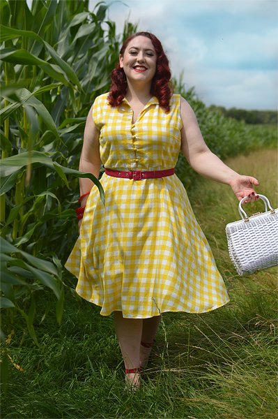 Plus size pinup Miss Amy May models the Poppy Yellow Gingham Shirtdress gifted by Dolly & Dotty for a fit and size review