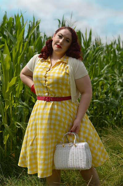 Plus size pinup Miss Amy May models the Poppy Yellow Gingham Shirtdress gifted by Dolly & Dotty for a fit and size review