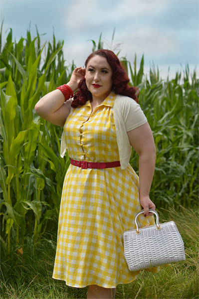 Plus size pinup Miss Amy May models the Poppy Yellow Gingham Shirtdress gifted by Dolly & Dotty for a fit and size review