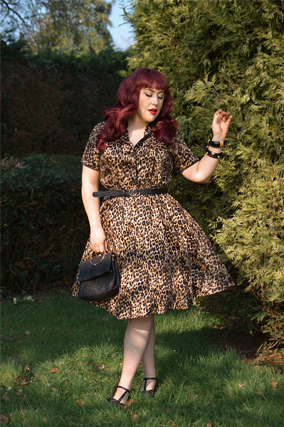 Plus size pinup Miss Amy May models the leopard print Penelope diner shirt dress by Dolly & Dotty for a fit and size review