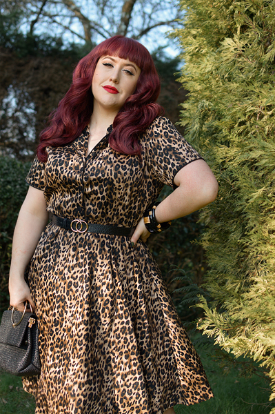 Plus size pinup Miss Amy May models the leopard print Penelope diner shirt dress by Dolly & Dotty for a fit and size review