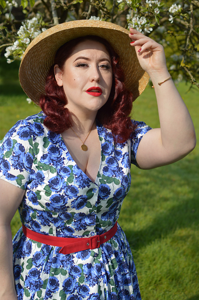 Plus size pinup Miss Amy May models the Shana blue roses dress by Collectif for a fit and sizing review