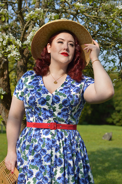 Plus size pinup Miss Amy May models the Shana blue roses dress by Collectif for a fit and sizing review