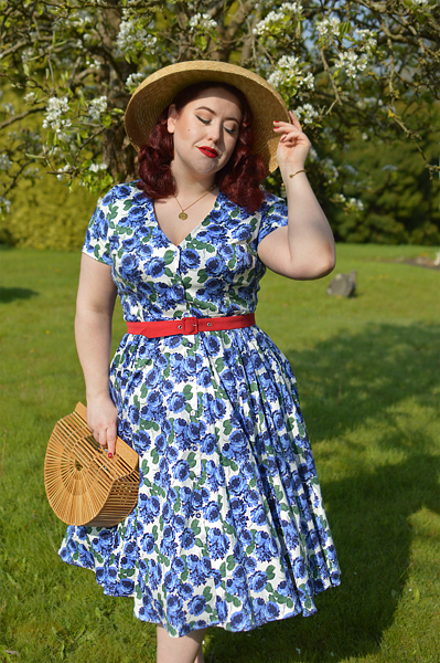 Plus size pinup Miss Amy May models the Shana blue roses dress by Collectif for a fit and sizing review