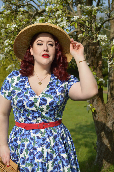 Plus size pinup Miss Amy May models the Shana blue roses dress by Collectif for a fit and sizing review